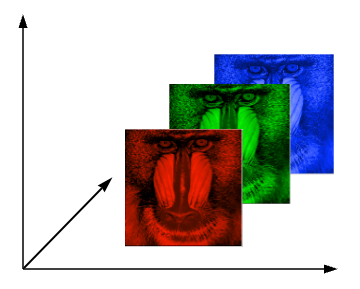 Kanały RGB obrazu pawiana